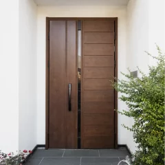 belle porte entrée bois + aluminium